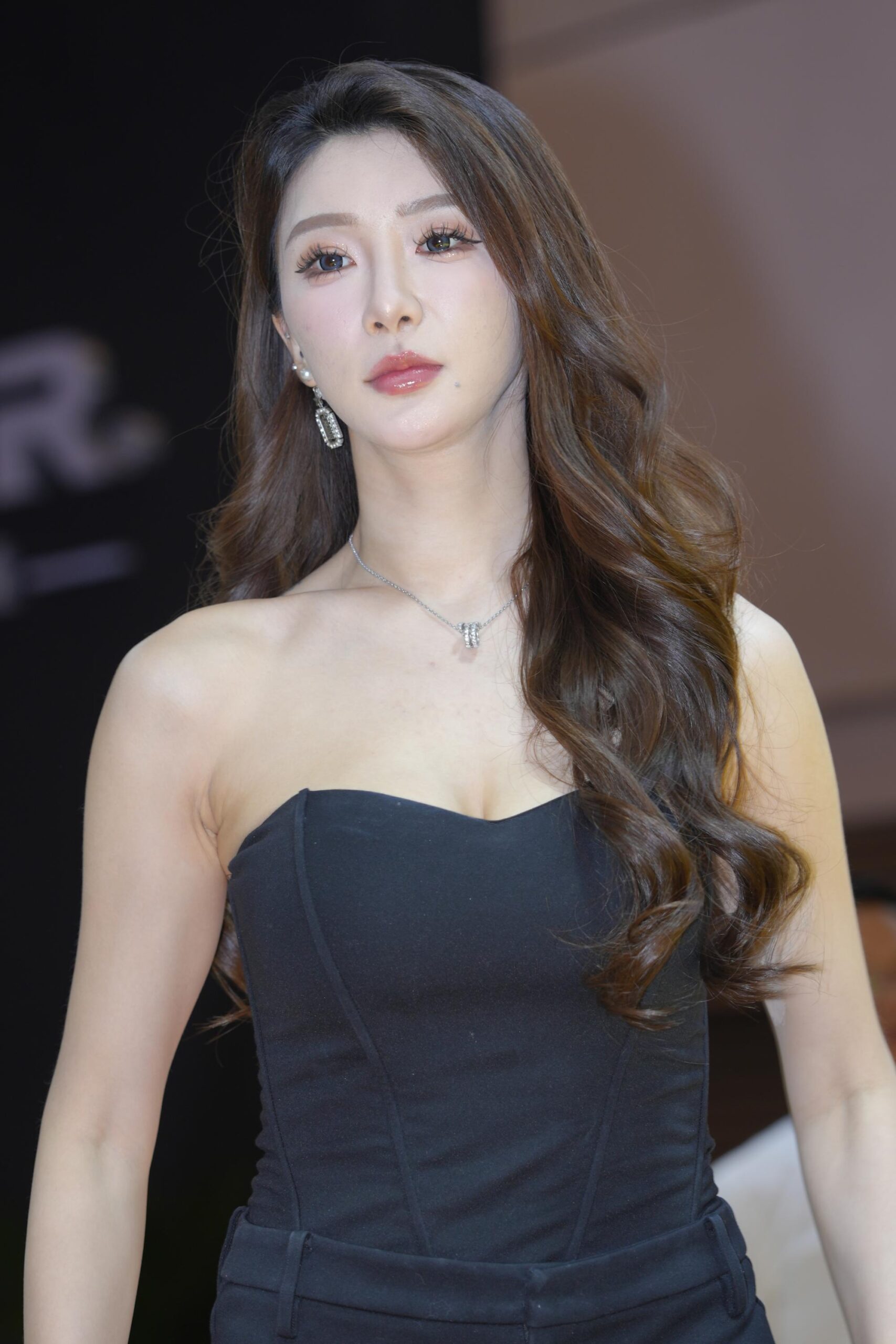 No.8761 黑色系美女 [29P3V-1.14GB]