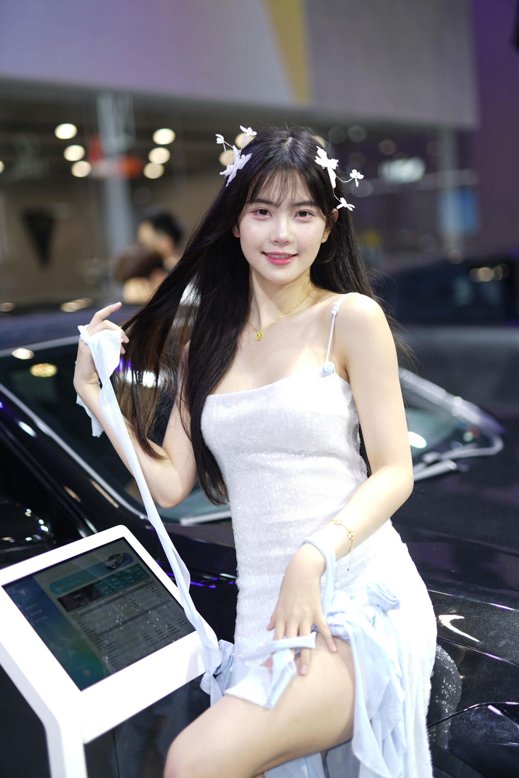 No.9005 2025深圳粤港澳大湾区车展图集 [2316P-15.3GB]