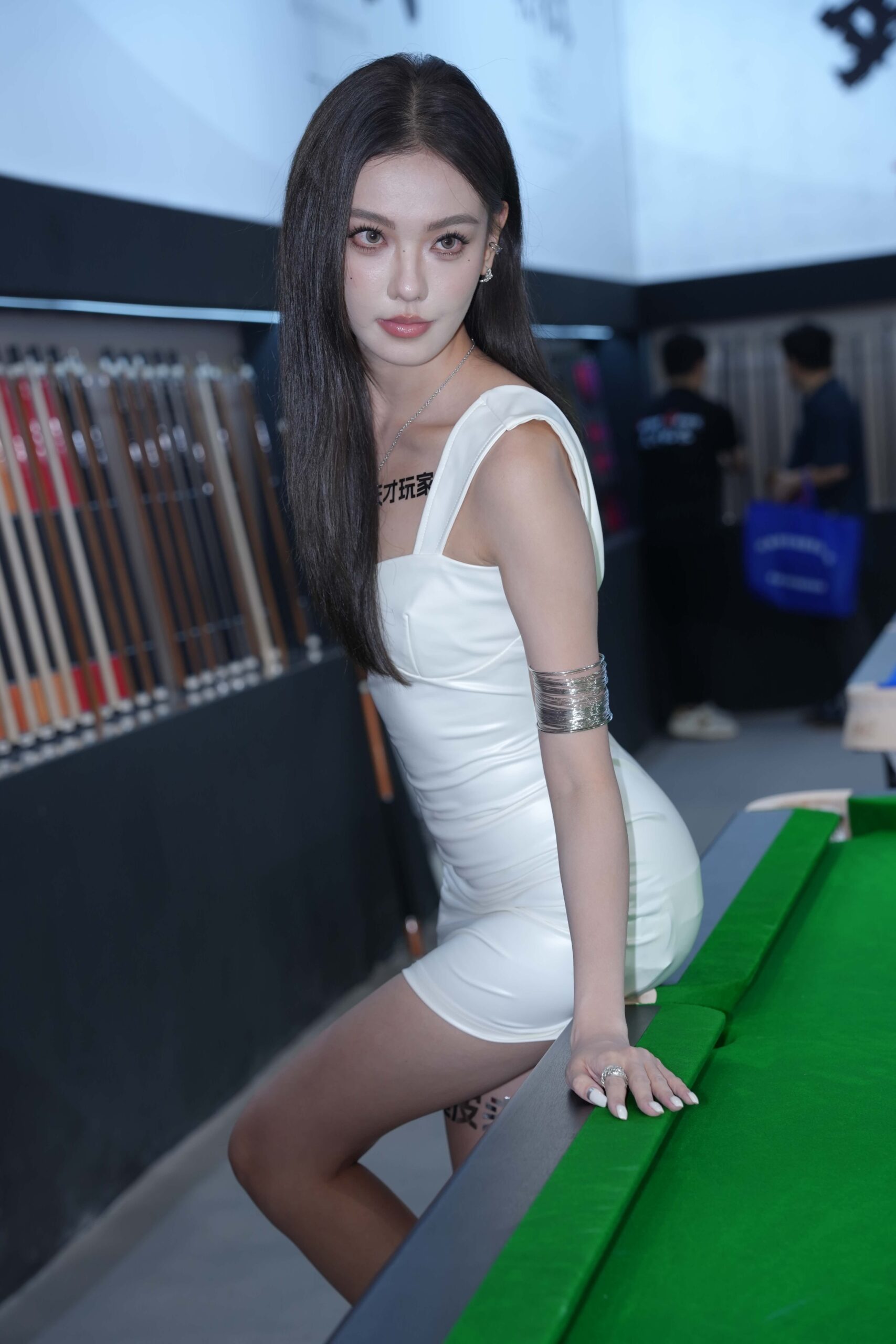 No.9045 2025年广州台球展视图合集A [609P39V-49.2GB]
