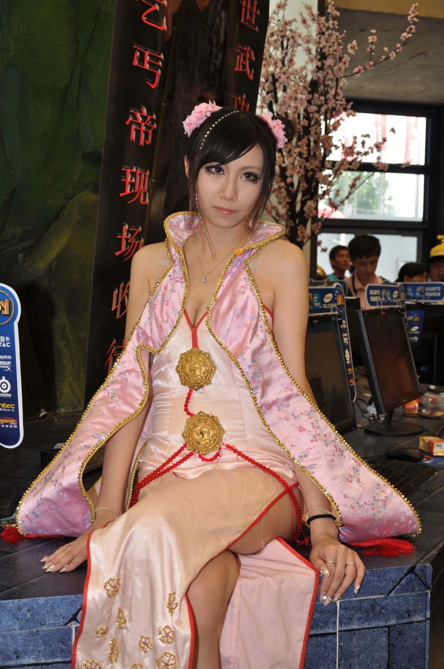 2010ChinaJoy图片4 【930P 3.75G】