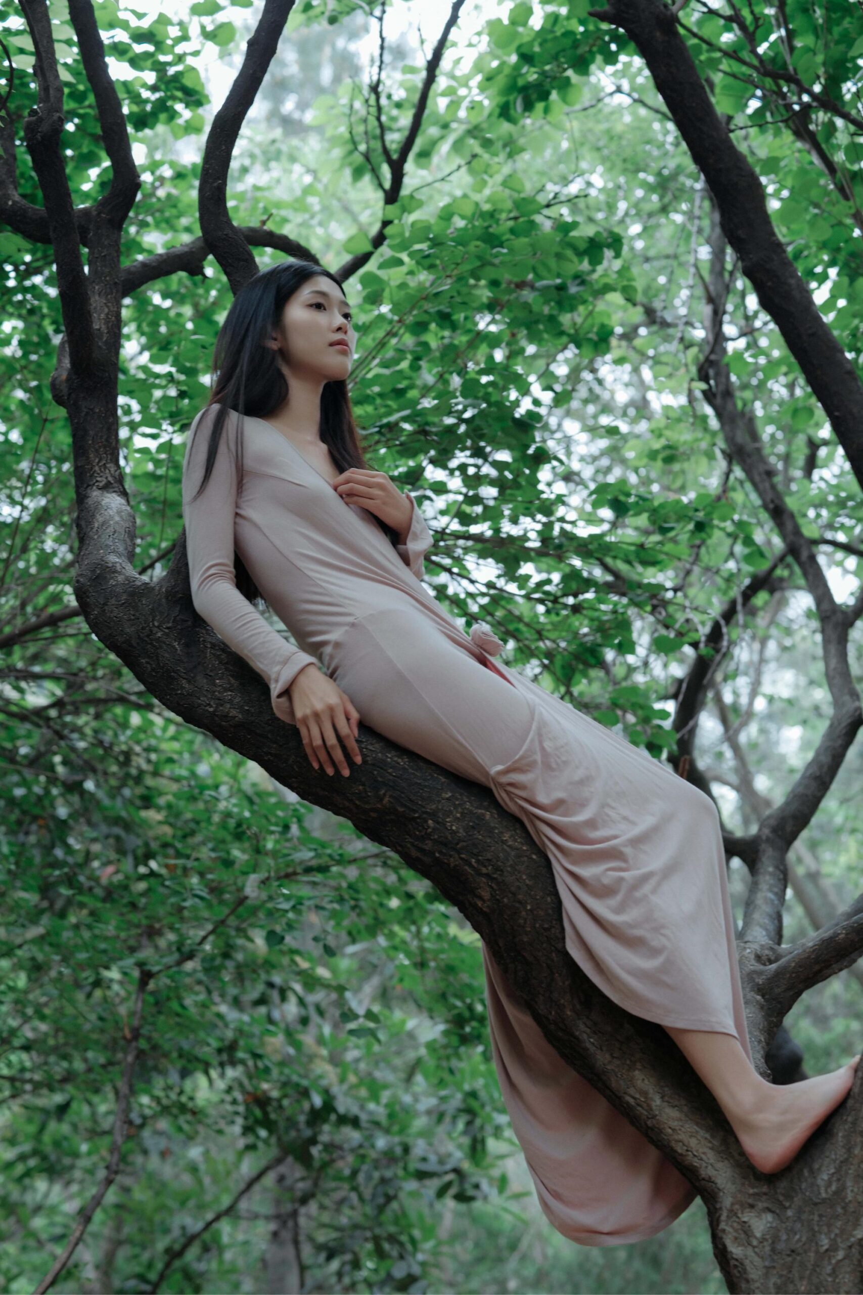 GS-Y0185 葳蕤 钰清风 [24P-501MB]