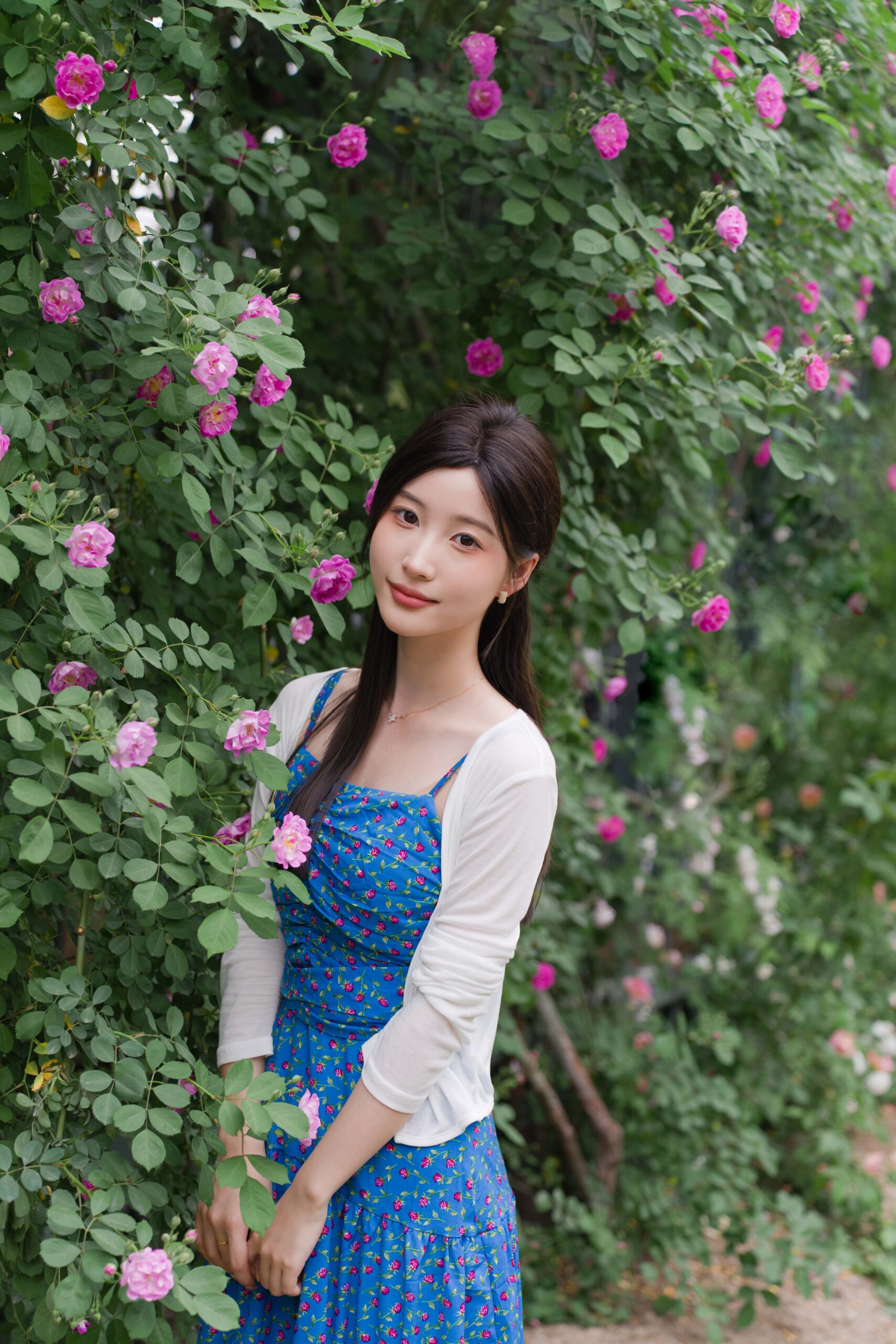 GS-Y0194 蔷薇春色 栀栀雯 [36P-552MB]