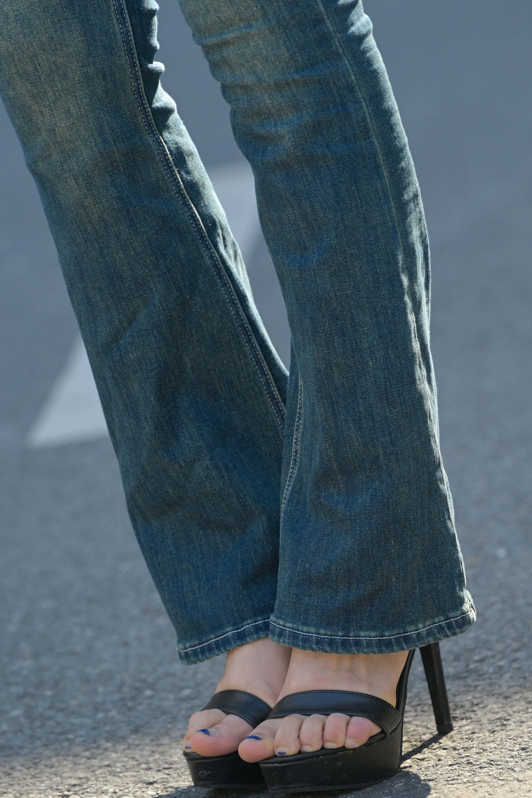 GS-T787  午后阳光  【330P  7.39G】