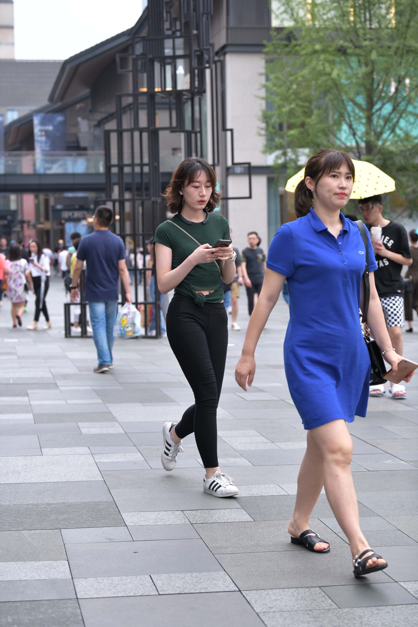 GS-T806 这个黑裤美眉的润臀真不赖 【49P 656M】