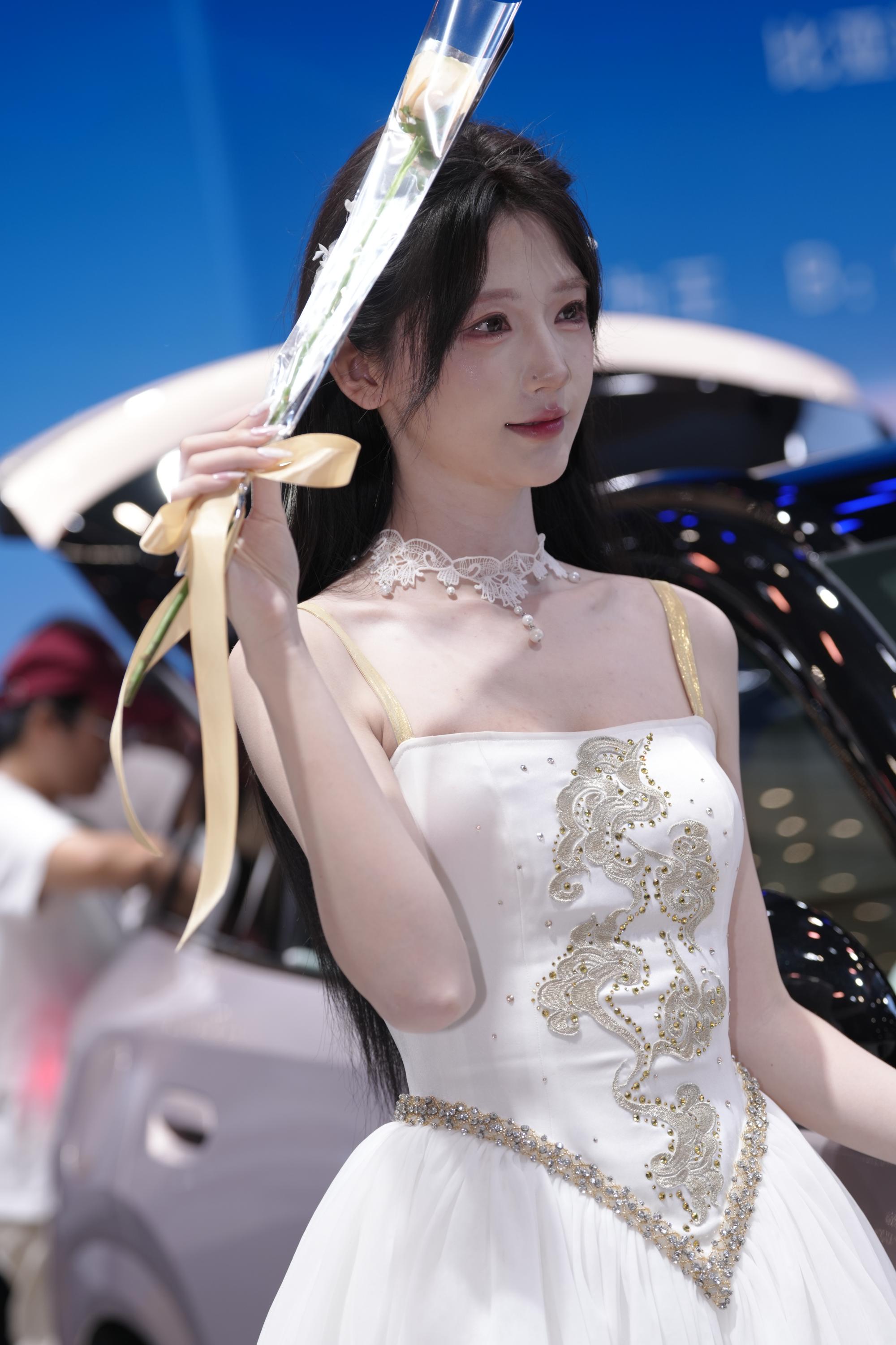 No.10721 BYD展台车模 [327P-4.90GB]