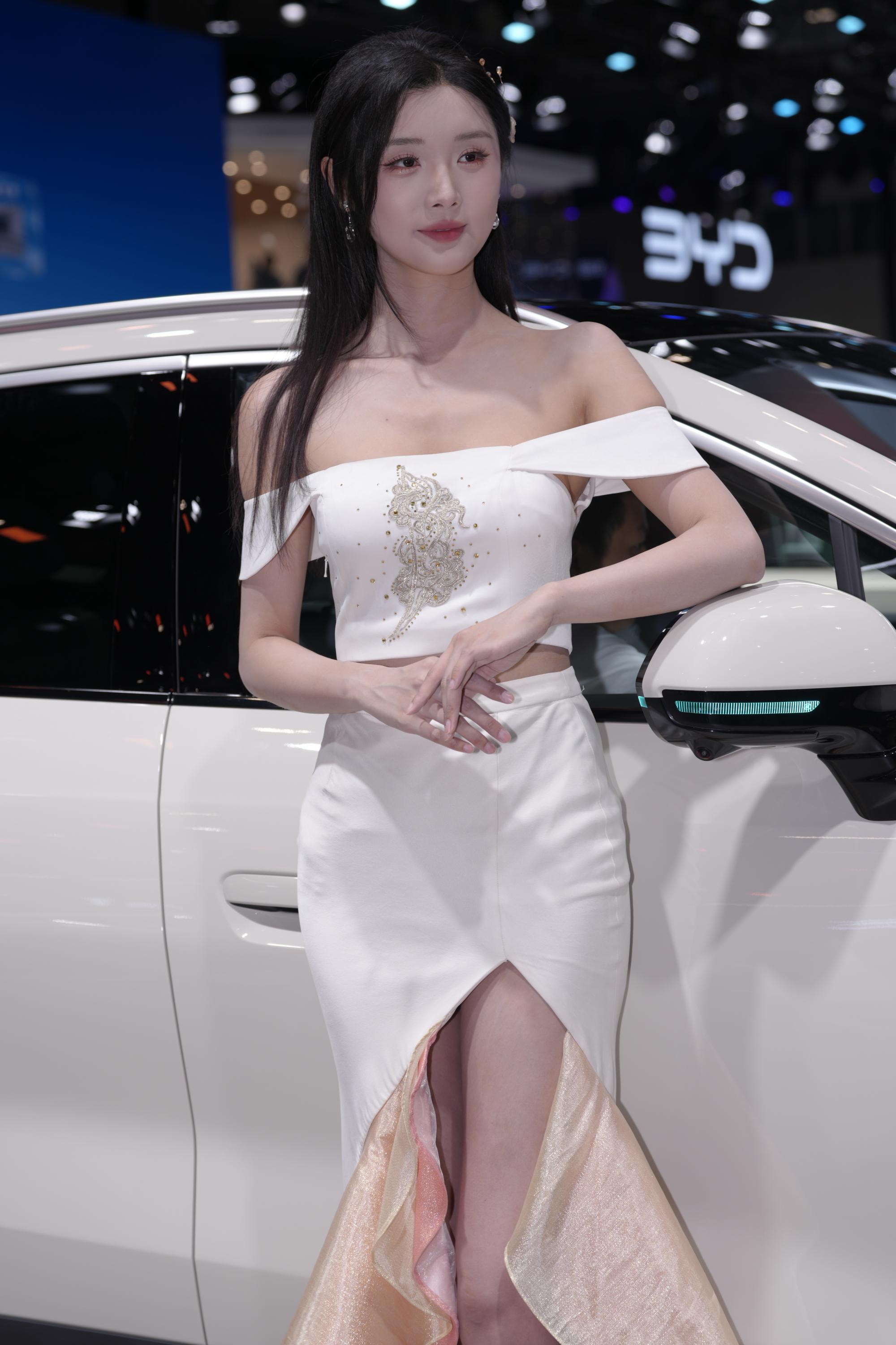 No.10721 BYD展台车模 [327P-4.90GB]