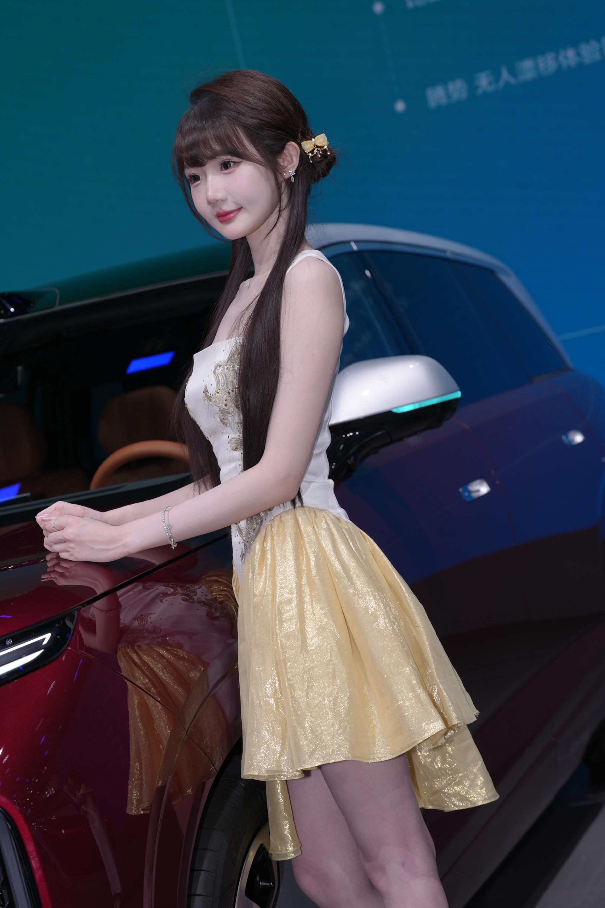 No.10721 BYD展台车模 [327P-4.90GB]